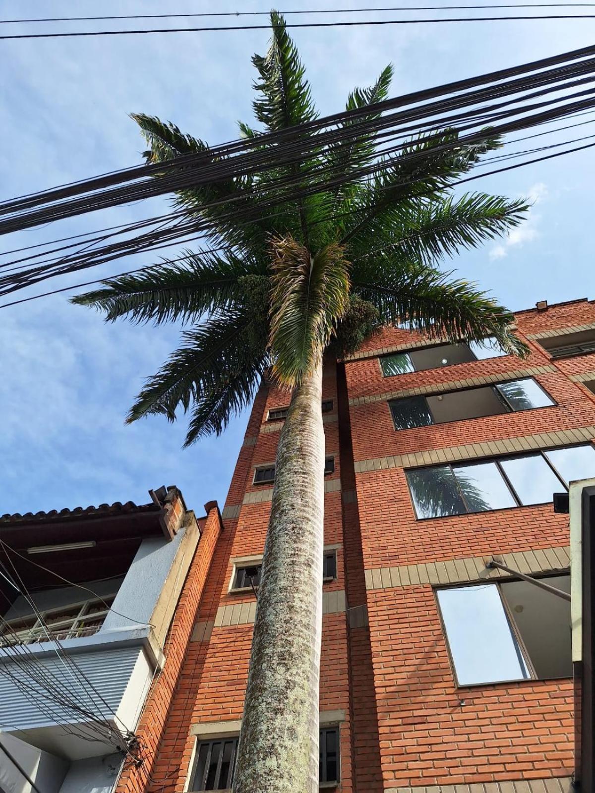 Hotel Suramericana Medellin Exterior photo